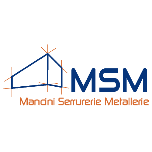 logo MSM